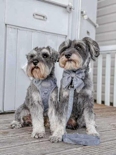Dog Lead: Chiswick Dovetail