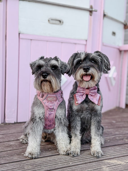 Step & Switch® Dog Harness: Chiswick Rosewood