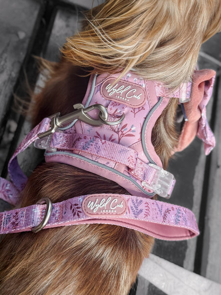 Dog Lead: Chiswick Rosewood
