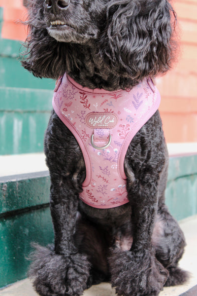 Adjustable Dog Harness: Chiswick Rosewood