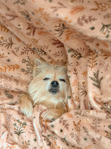 Blanket: Chiswick Nutmeg