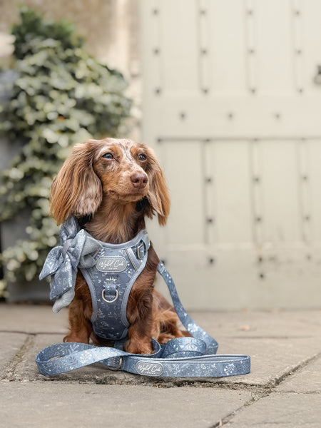 Step & Switch® Dog Harness: Chiswick Dovetail