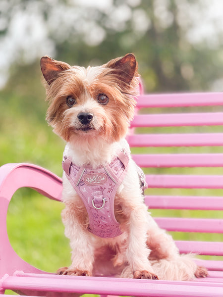Step & Switch® Dog Harness: Chiswick Rosewood