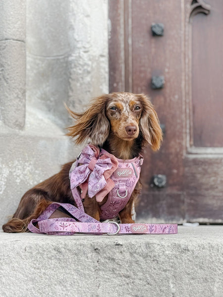 Step & Switch® Dog Harness: Chiswick Rosewood