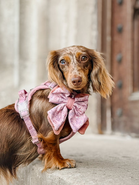 Dog Butterfly Bow: Chiswick Rosewood