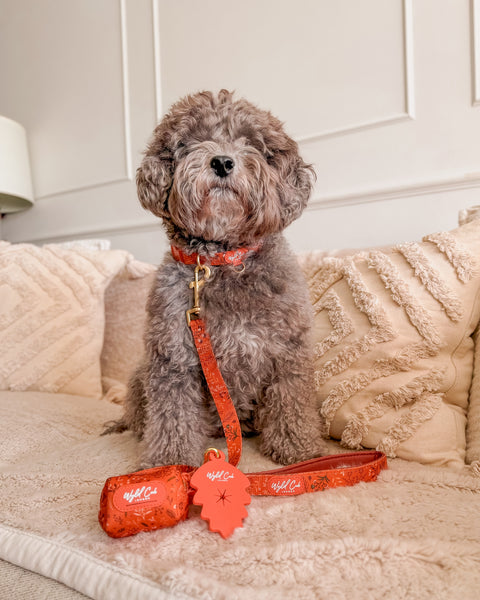 Dog Poop Bag Holder: Chiswick Ginger