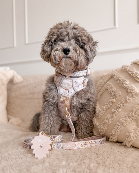 Step & Switch® Dog Harness: Chiswick Oyster