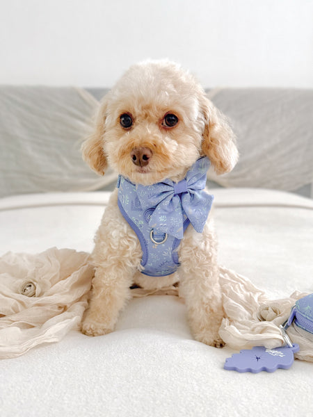 Dog Sailor Bow: Chiswick Aeris
