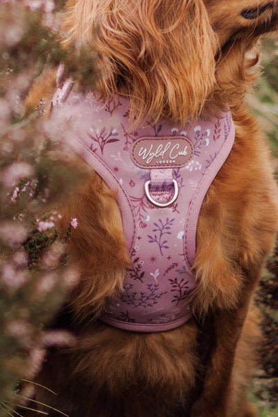 Adjustable Dog Harness: Chiswick Rosewood