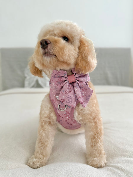 Dog Sailor Bow: Chiswick Rosewood