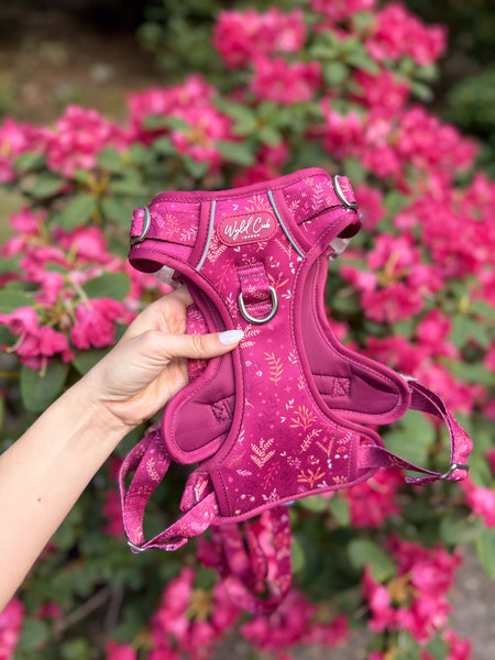 Step & Switch® Dog Harness: Chiswick Dragonfruit