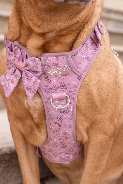 Dog Sailor Bow: Chiswick Rosewood