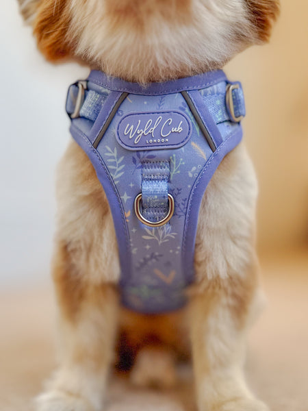 Step & Switch® Dog Harness: Chiswick Aeris