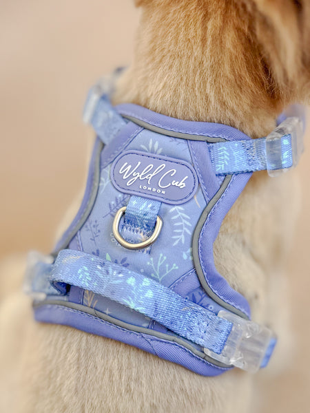 Step & Switch® Dog Harness: Chiswick Aeris