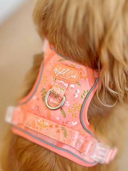 Step & Switch® Dog Harness: Chiswick Papaya