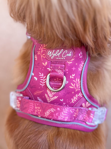 Step & Switch® Dog Harness: Chiswick Dragonfruit