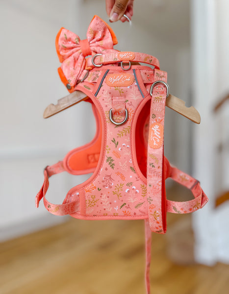 Dog Lead: Chiswick Papaya