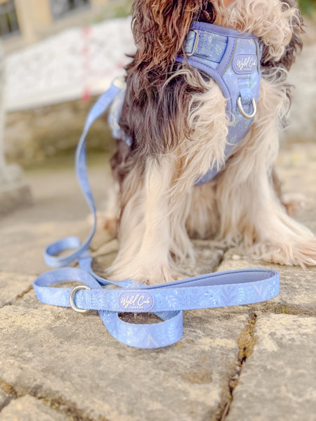 Dog Lead: Chiswick Aeris