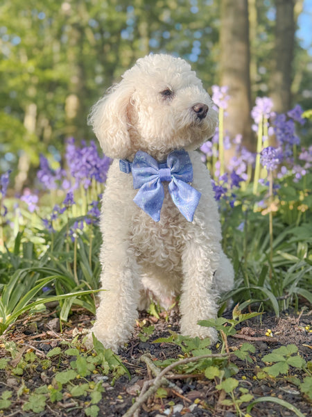 Dog Sailor Bow: Chiswick Aeris