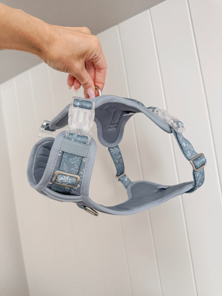 Step & Switch® Dog Harness: Chiswick Dovetail