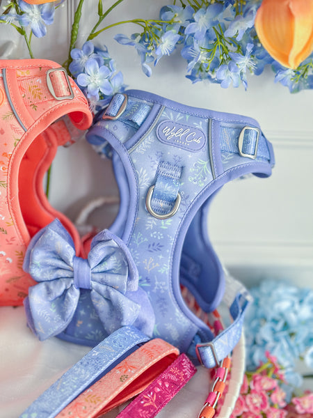 Step & Switch® Dog Harness: Chiswick Aeris