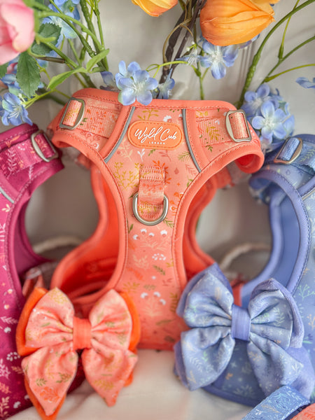 Step & Switch® Dog Harness: Chiswick Papaya