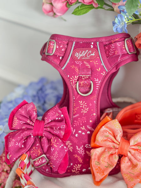 Step & Switch® Dog Harness: Chiswick Dragonfruit