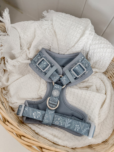 Adjustable Dog Harness: Chiswick Dovetail