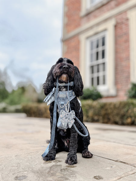 Dog Lead: Chiswick Dovetail
