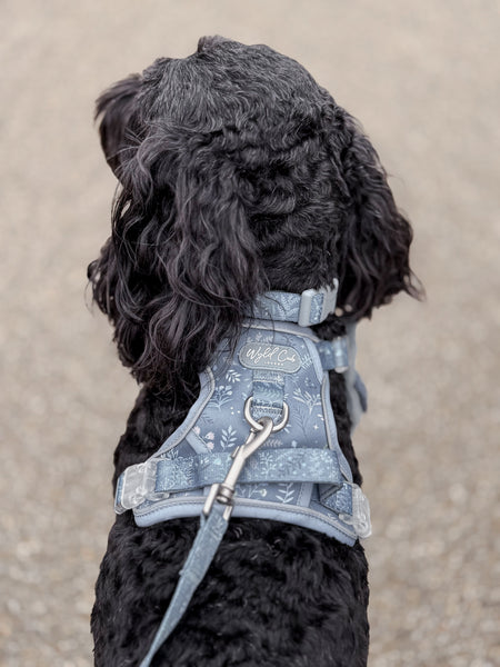 Step & Switch® Dog Harness: Chiswick Dovetail