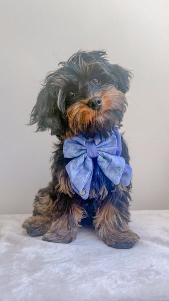 Dog Butterfly Bow: Chiswick Aeris