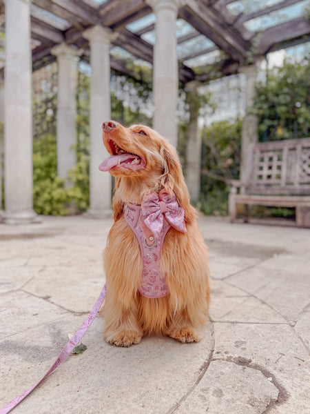 Step & Switch® Dog Harness: Chiswick Rosewood