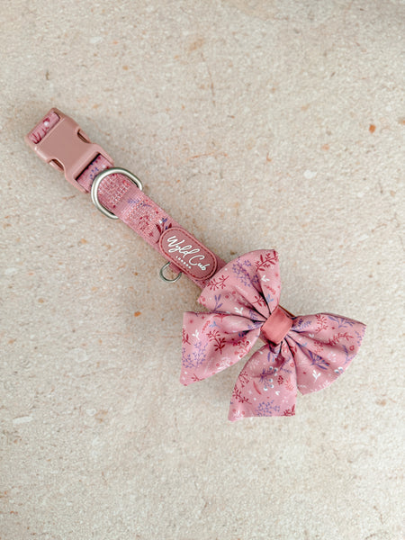 Adjustable Dog Collar: Chiswick Rosewood