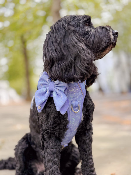 Dog Butterfly Bow: Chiswick Aeris