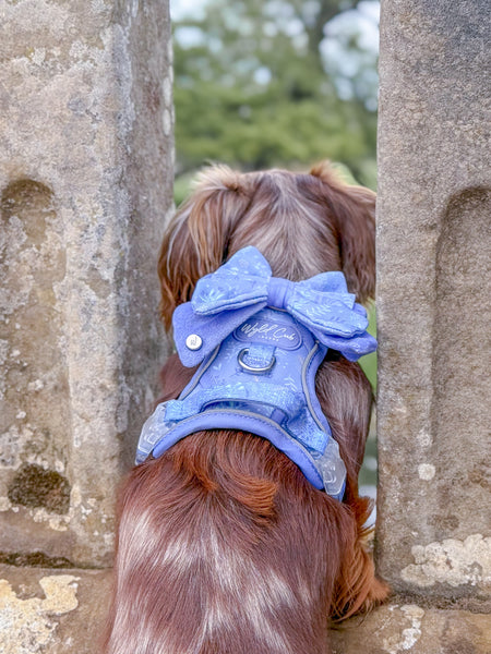 Step & Switch® Dog Harness: Chiswick Aeris
