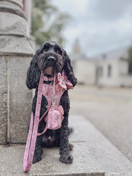 Dog Poop Bag Holder: Chiswick Rosewood