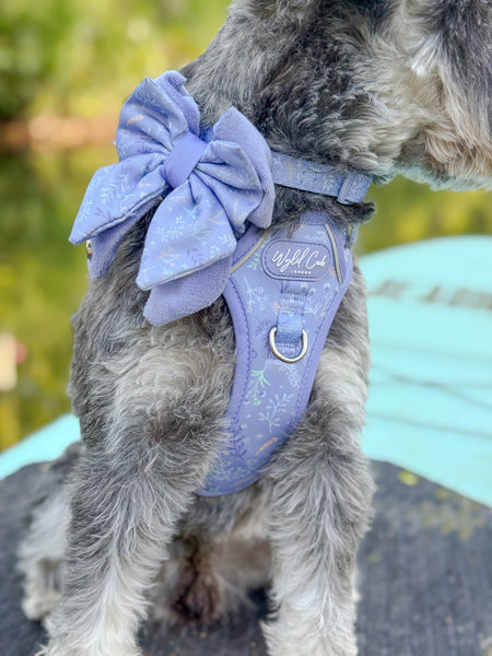 Dog Butterfly Bow: Chiswick Aeris