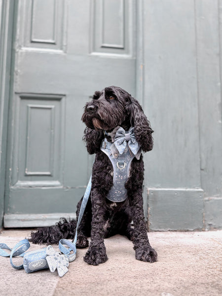 Dog Butterfly Bow: Chiswick Dovetail