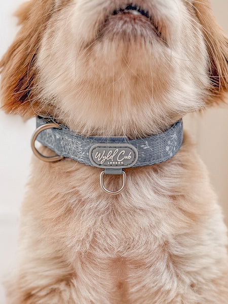 Adjustable Dog Collar: Chiswick Dovetail
