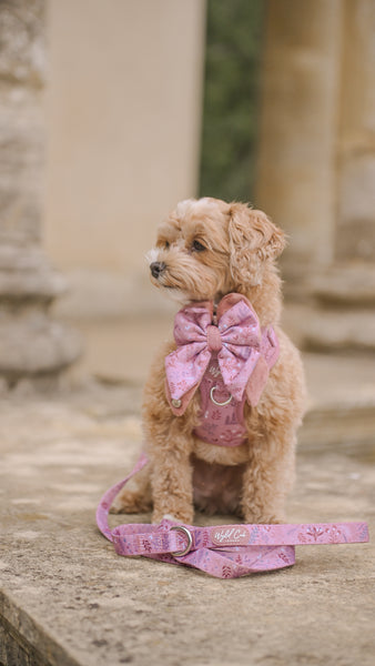 Dog Lead: Chiswick Rosewood