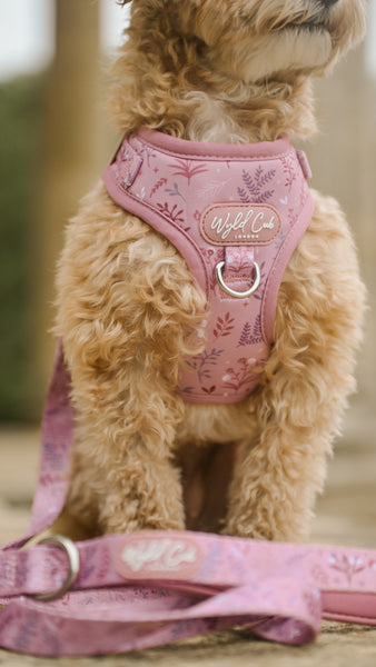 Adjustable Dog Harness: Chiswick Rosewood