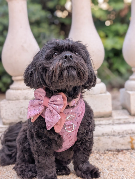 Adjustable Dog Harness: Chiswick Rosewood