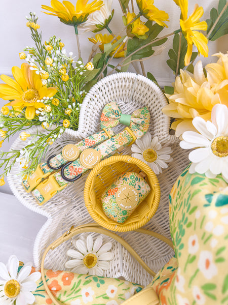 Dog Bow Tie: Notting Hill Lemongrass