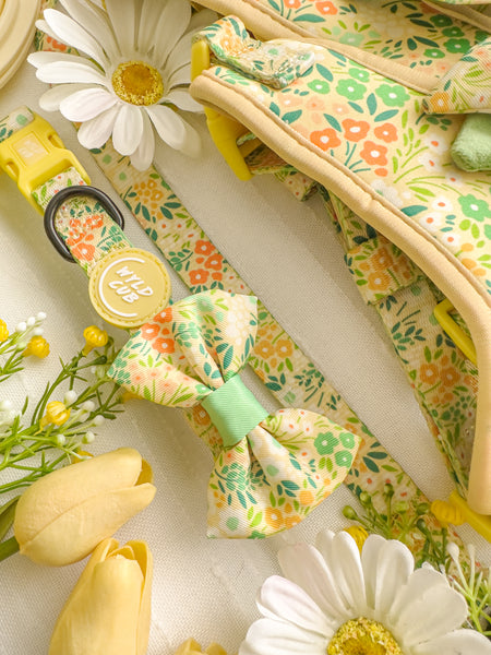 Dog Bow Tie: Notting Hill Lemongrass