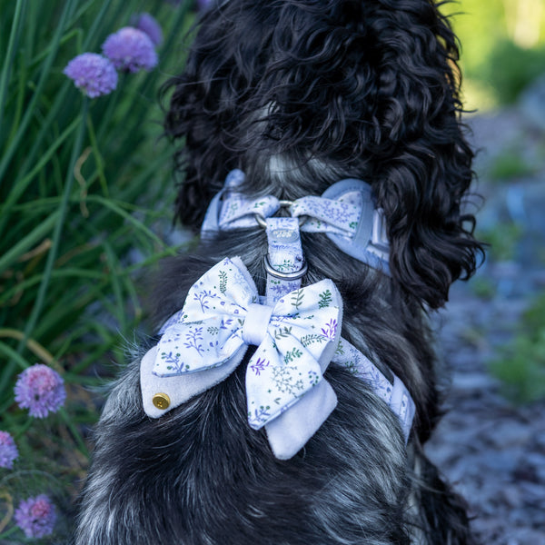 Dog Butterfly Bow Tie: Chiswick Thistle