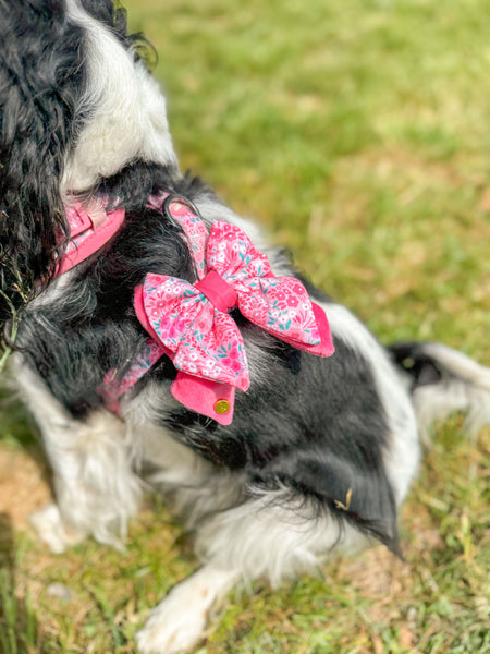 Dog Butterfly Bow Tie: Notting Hill Rosé