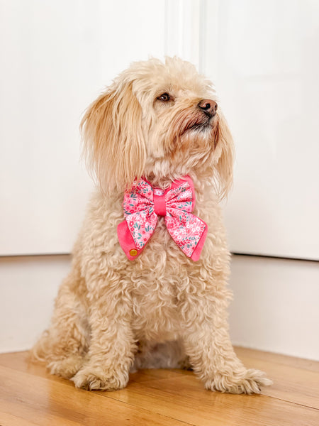 Dog Butterfly Bow Tie: Notting Hill Rosé