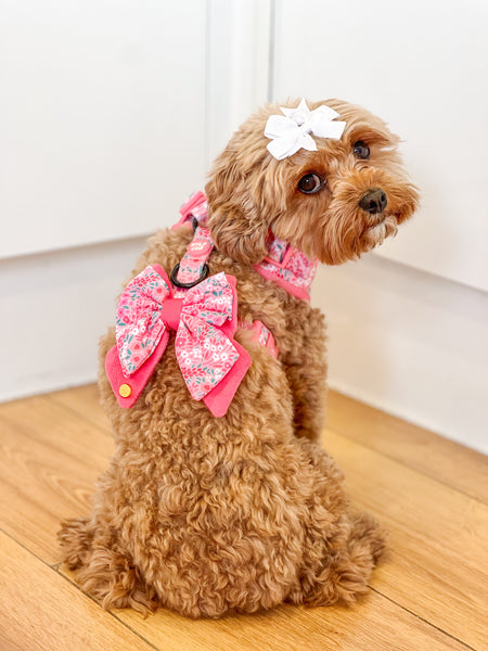 Dog Butterfly Bow Tie: Notting Hill Rosé
