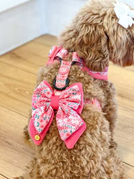 Dog Butterfly Bow Tie: Notting Hill Rosé