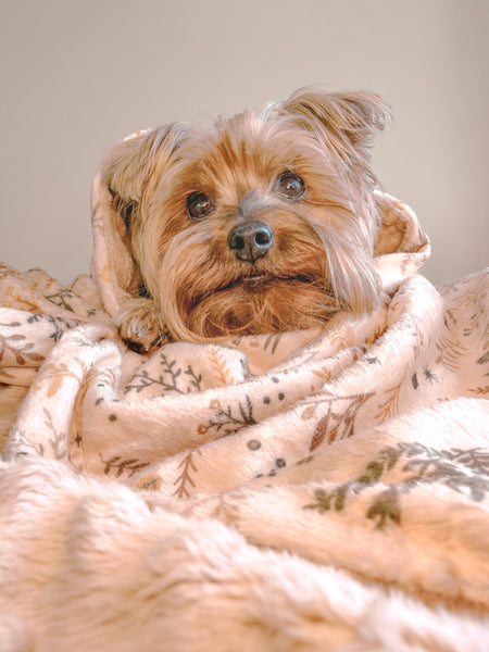 Blanket: Chiswick Nutmeg